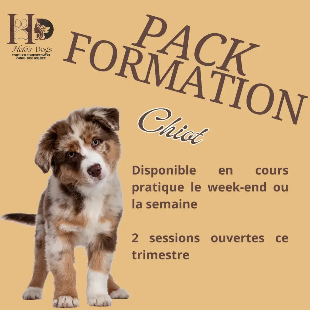 Pack Chiot