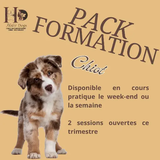 Pack Chiot